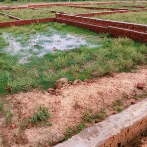 Plot Area in  Plot at Harhua – for Sale
