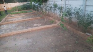 Plot Area in  Land at Sector 59 – for Rent