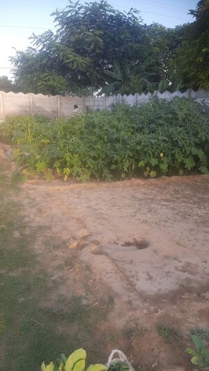 Plot Area in  Land at Sector 59 – for Rent