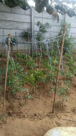 Plot Area in  Land at Sector 59 – for Rent