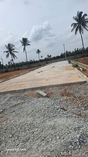 Plot Area in  Plot at Hoskote – for Sale