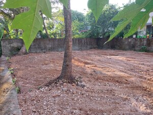 Plot Area in  Plot at Varapuzha – for Sale