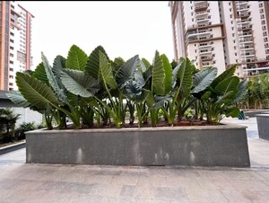 2 BHK Apartment For Sale in SMR Vinay Iconia Phase II, Kondapur