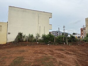  Plot For Sale in Pedathadivada