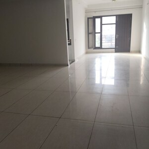 Building Lobby in 3 BHK Builder Floor at Sector 9a – for Rent