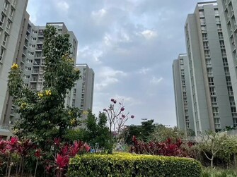 3 BHK 1191 Sq.Ft. Apartment in Assetz 63 Degree East