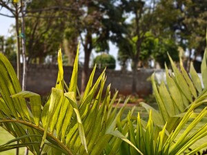  Plot – Garden View at Sai Metro City, Kuguru - for Sale