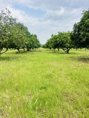 Plot Area in  Plot at Surampalli – for Sale