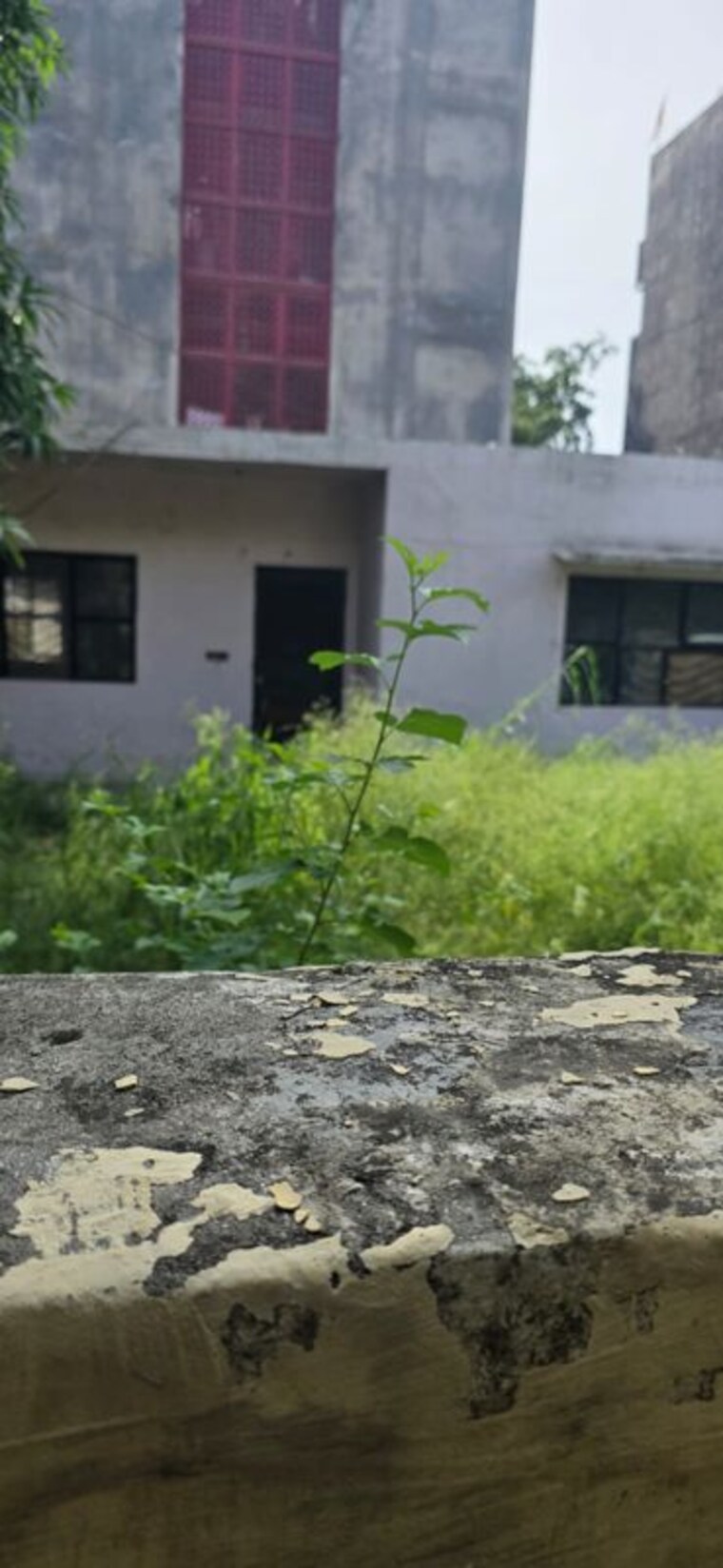 Exterior View, sector 100  200 Sq.Mt. Plot In Sector 100 Noida 10563267