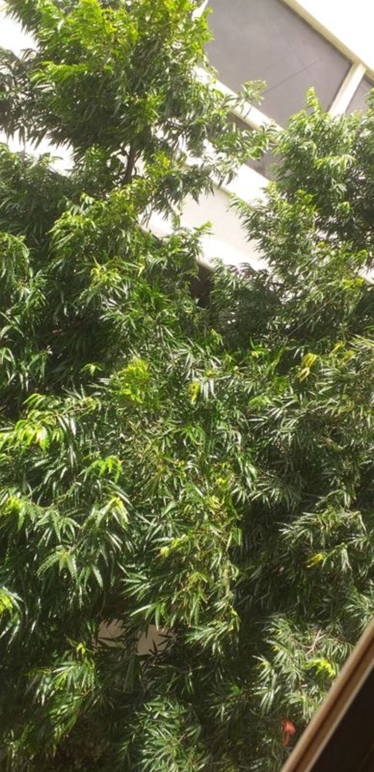 Garden, peace-heaven 2 Bedroom 1200 Sq.Ft. Apartment In Bandra West Mumbai 10572044