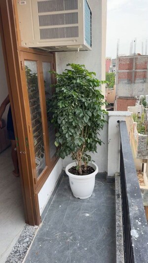 Balcony in 1 BHK Apartment at Freedom Fighters Enclave – for Rent