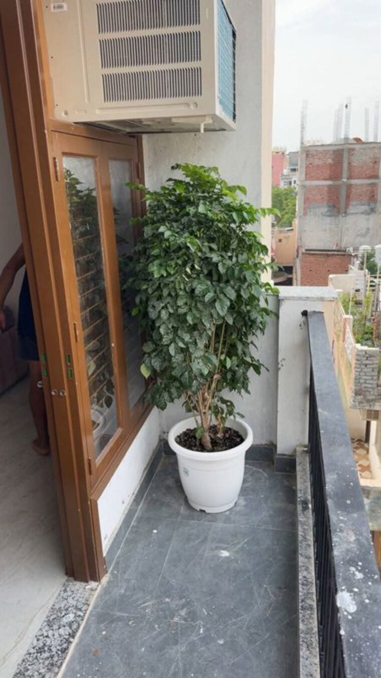 Balcony, freedom fighters enclave 1 Bedroom 450 Sq.Ft. Apartment In Freedom Fighters Enclave Delhi 10572165