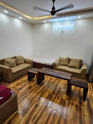 Living Room in 1 BHK Apartment at Freedom Fighters Enclave – for Rent