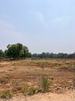 Plot Area in  Industrial Plot at Rantalei – for Sale