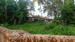 2890 Sq.Ft. Plot in Malancha