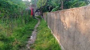 Plot Area in  Plot at Malancha – for Sale