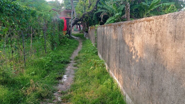 undefined, malancha  2890 Sq.Ft. Plot In Malancha Kolkata 10572422