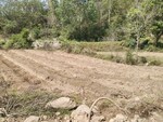 500 Sq.Yd. Land in Sector 101 B