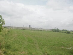 Plot For Sale in Tech Zone Greater Noida