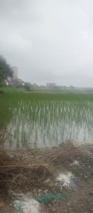 Plot Area in  Plot at Tech Zone Greater Noida – for Sale