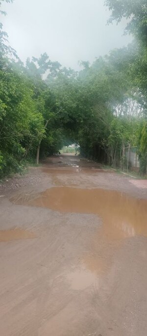   Plot at Tech Zone Greater Noida – for Sale