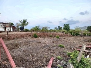  Plot For Sale in Pali