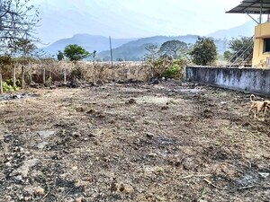 Plot Area in  Plot at Pali – for Sale