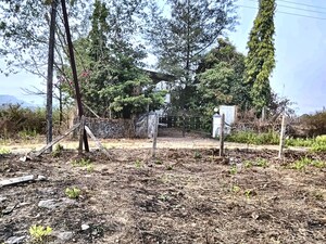 Plot Area in  Plot at Pali – for Sale