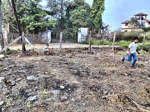 Plot Area in  Plot at Pali – for Sale
