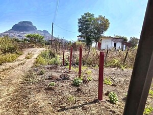  Plot – Garden View at Pali - for Sale