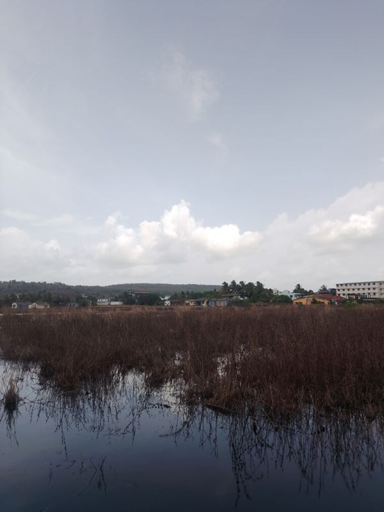 Other, panvel  1089 Sq.Ft. Plot In Panvel Navi Mumbai 10572792