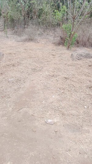 Plot Area in  Land at Sangade – for Sale