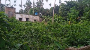  Plot – Garden View at Rajpur - for Sale