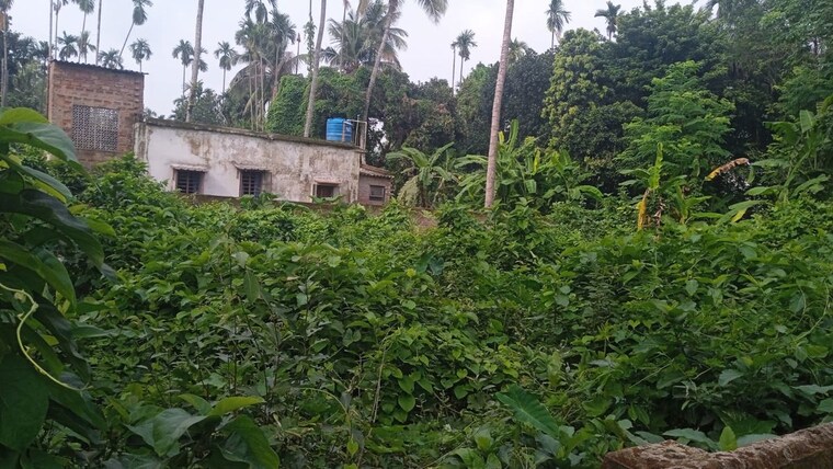 Garden, rajpur  3600 Sq.Ft. Plot In Rajpur Kolkata 10572835