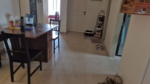 Dining area in 3 BHK Builder Floor at Bandra East – for Sale
