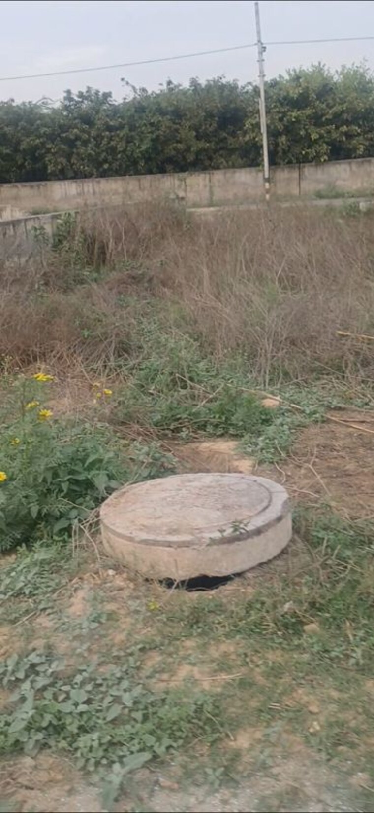 undefined, rohini sector 34  32 Sq.Mt. Plot In Rohini Sector 34 Delhi 10197245