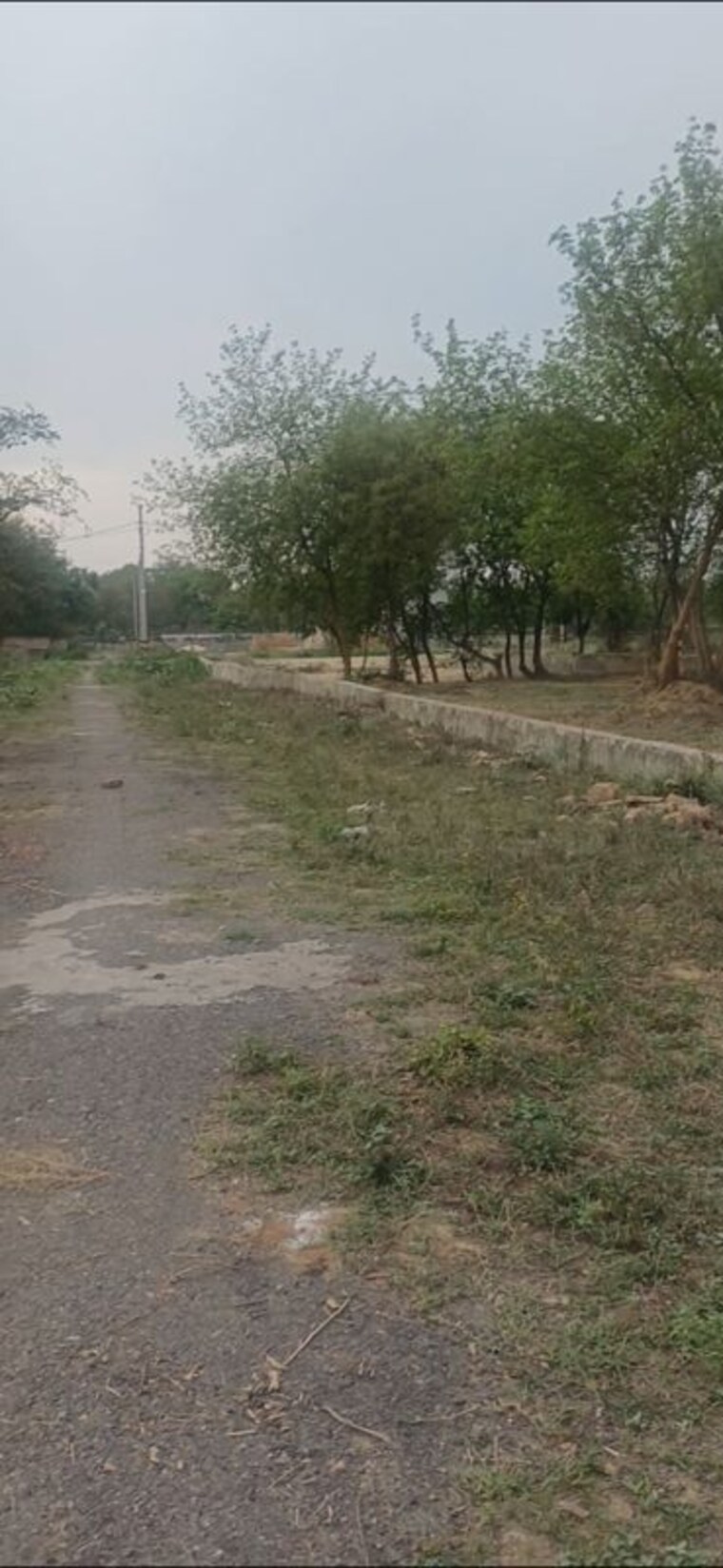 undefined, rohini sector 34  60 Sq.Mt. Plot In Rohini Sector 34 Delhi 10269263