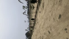 Plot For Sale in Sultanpur