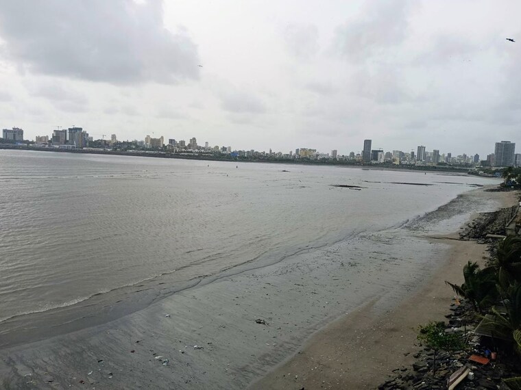 Exterior View, shivaji park 2 Bedroom 740 Sq.Ft. Apartment In Shivaji Park Mumbai 10573179