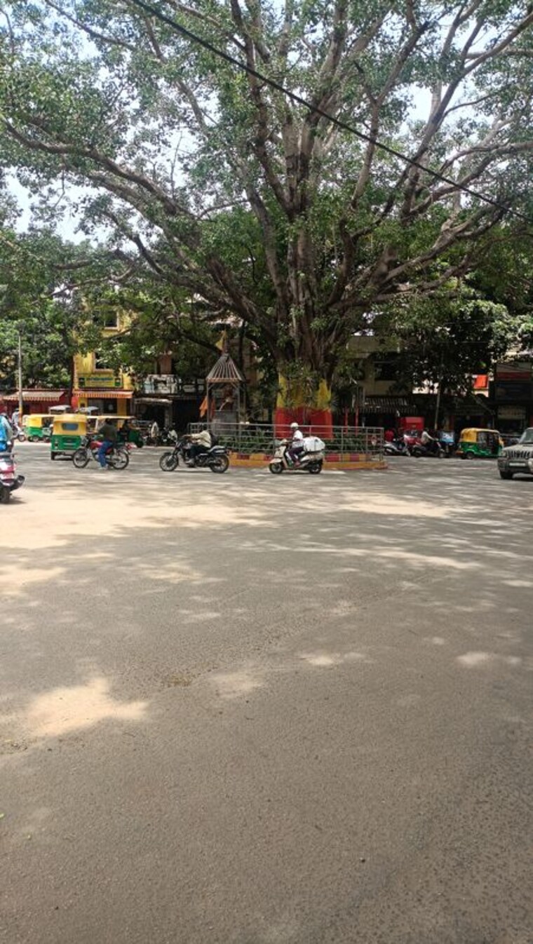  Parking, banashankari 3 Bedroom 2000 Sq.Ft. Villa In Banashankari Bangalore 10573221