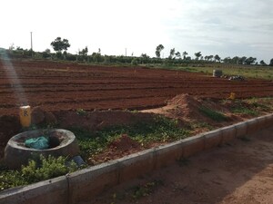  Plot For Sale in Amangal
