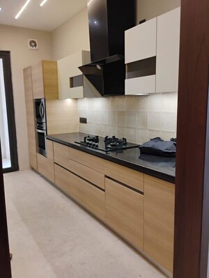 Kitchen in 4 BHK Builder Floor at Sector 17 Dwarka – for Rent