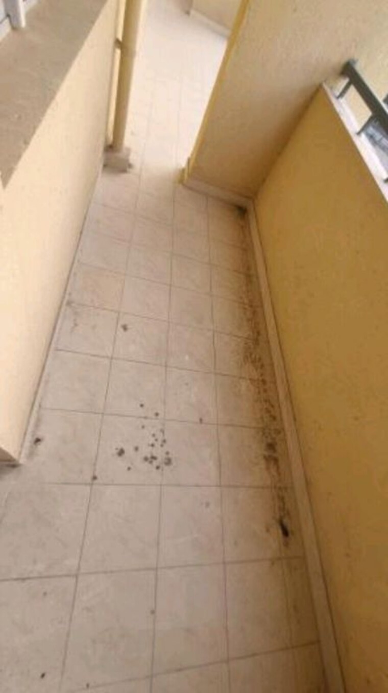 Bathroom, sare-sports-parc 4 Bedroom 2040 Sq.Ft. Apartment In Sector 92 Gurgaon 10573552