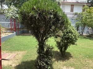  Plot For Sale in Chattarpur