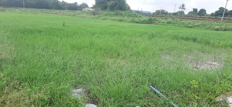 undefined, shadnagar  1 Acre Plot In Shadnagar Hyderabad 10573686