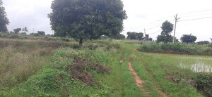 Plot Area in  Plot at Shadnagar – for Sale