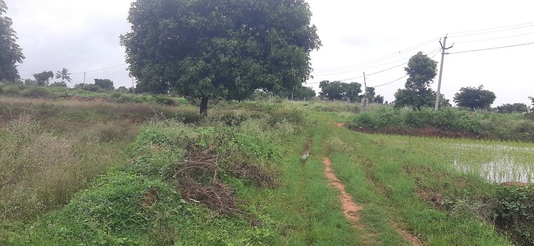 undefined, shadnagar  1 Acre Plot In Shadnagar Hyderabad 10573686