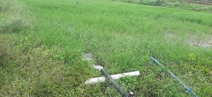 Plot Area in  Plot at Shadnagar – for Sale