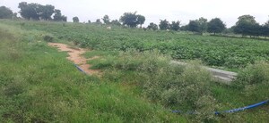  Plot For Sale in Shadnagar