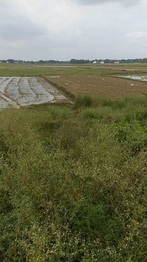  Land For Sale in Arambagh